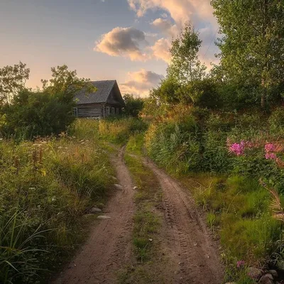 Сельский пейзаж - фото и картинки: 62 штук