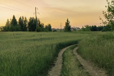 Сельские пейзажи | Пикабу