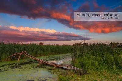 Иллюстрация 1 из 14 для Рисуем по схемам: Сельские пейзажи: Акварель №23 -  Терри Харрисон