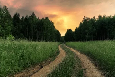 Сельские пейзажи | Пикабу