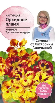 Настурция Скарлет о Хара махровая вьющаяся - АГРОМАРКЕТ - Магазин садівника