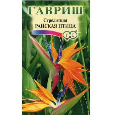 Стрелиция Райская птица \"Гавриш\" 🏆 – купить семена в Перми
