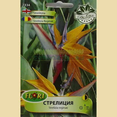 Стрелиция - from category Семена на цветя (Магазин за Семена)