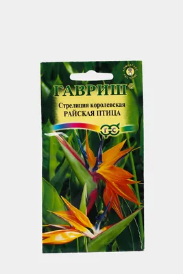 Стрелиция Райская птица (семена,цветы) за 127 ₽ купить в интернет-магазине  KazanExpress
