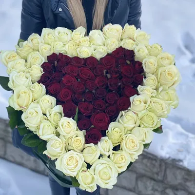 красивое сердце из лепестков красной розы на белом :: Стоковая фотография  :: Pixel-Shot Studio