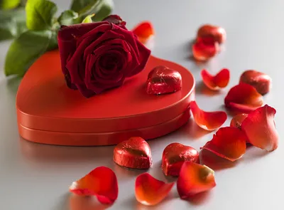Сердце из лепестков роз с пустой карточкой на деревянном фоне :: Стоковая  фотография :: Pixel-Shot Studio