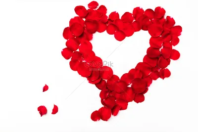Лепестки роз в форме сердца изображение_Фото номер 501123614_JPG Формат  изображения_ru.lovepik.com