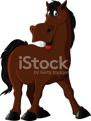 смешная лошадь стоковое фото. изображение насчитывающей верхом - 25484268