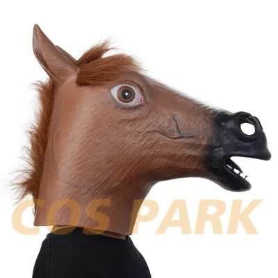 Картинка лошадь забавные 2 злость Голова животное на 4859x3355