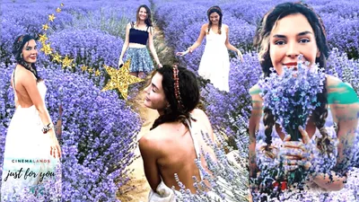 Ebru Shahin posed in the lavender field - CinemaLand