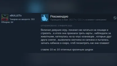 Подборка смешных отзывов на игры в Steam. Кратко и остроумно о Red Dead  Redemption 2, Valheim,