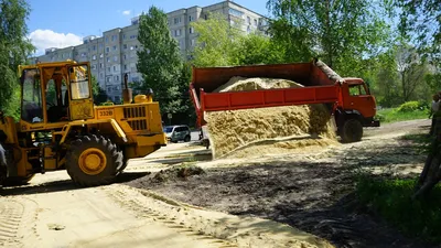 Самые крупные породы собак. Самая крупная собака в России