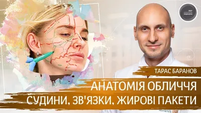 Анатомія обличчя для косметологів ▻ Судини, З'вязки, Жирові Пакети - YouTube