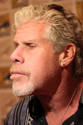 Рон Перлман (Ron Perlman) - актёр - фотографии - голливудские актёры -  Кино-Театр.Ру