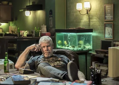 Рон Перлман (Ron Perlman) - актёр - фотографии - голливудские актёры -  Кино-Театр.Ру