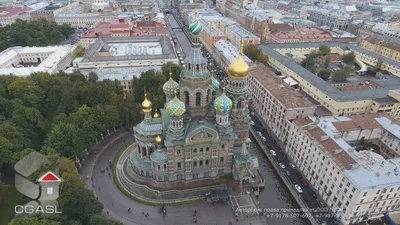 В Петербурге эвакуировали посетителей храма Спас на Крови из-за лжеминера |  ИА Красная Весна