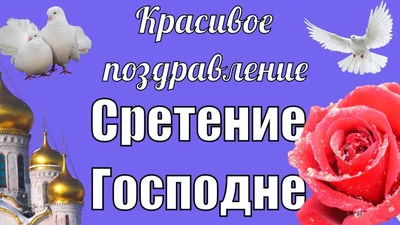 Нежное и красивое Видео поздравление со Сретением Господним видео откры...  | Видео, Праздник, Открытки