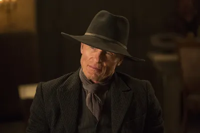 Эд Харрис (Ed Harris): биография, фото - Кино Mail.ru