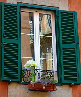 Ставни на окна. Антивандальность и декор фасада | Планировка | Дзен