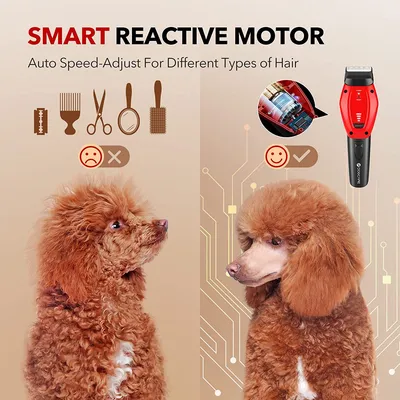 Машинка для стрижки собак Pawbby Pet Shaver купить в Омске по цене от  1\u0026nbsp;400 руб. | Интернет-магазин SmartGo