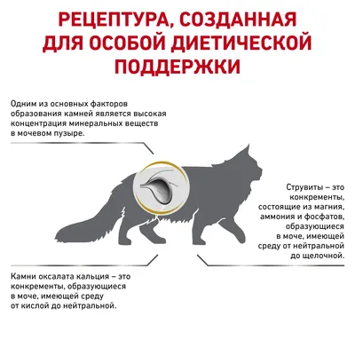 Купить сухой корм Royal Canin Urinary S/O в официальном интернет-магазине