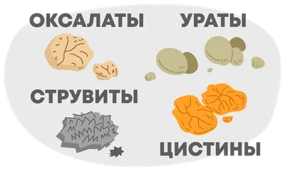 Мочекаменная болезнь у кошек: симптомы и лечение