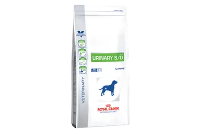 Royal Canin URINARY S/O вет.диета купить мешок с бесплатной доставкой по г.  Бишкек