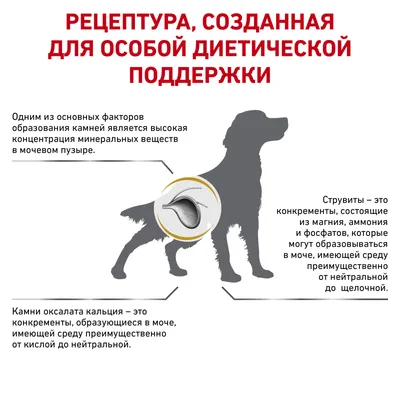 Royal Canin (вет.корма) для собак при мочекаменной болезни (струвиты,  оксалаты), Urinary S/O | Petshop.ru