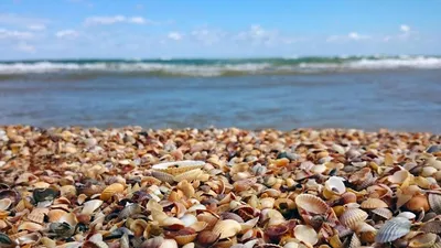 Посёлок Волна на Таманском полуострове, Чёрное море.