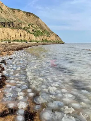 Тамань,море тамань,таманский полуостров,таманское побережье,черное  море,азовское море,лазурный пляж