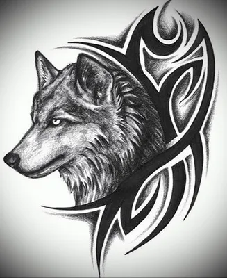 Download Wolf Headdress - Эскизы Тату Волк Индеец PNG Image with No  Background - PNGkey.com