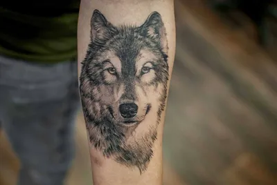 волк графика | Tatuagem de totem, Tatuagem, Lobo tatuagem