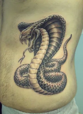 Snake Tattoo Designs | Cobra tattoo, King cobra tattoo, Snake tattoo design