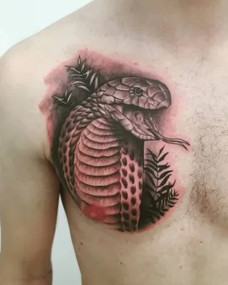 Tattoo • Значение тату: Кобра