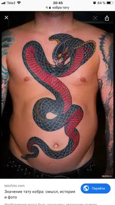 Pin by KasMi on Змея | Snake tattoo, Grime tattoo, Snake tattoo design