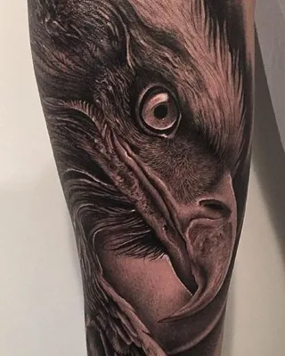 Tattoo • Значение тату: Орел