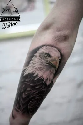 Орел на предплечье - фото татуировок