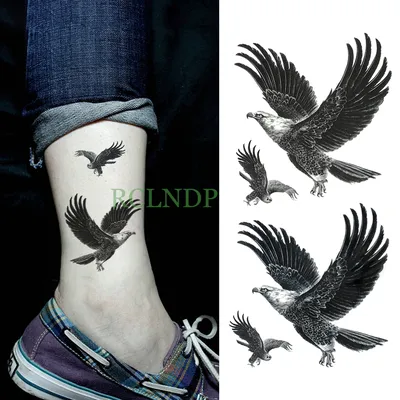 Водостойкая Временная тату-наклейка орла ястреба птицы поддельные тату флэш- тату рука ноги татуаж для мужчин девушек женщин мужчин леди - купить по  выгодной цене | AliExpress