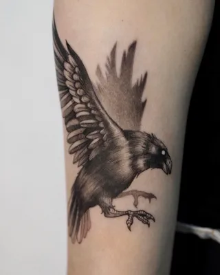 Татуировка черного орла на руке: фото – работа выполнена в тату студии  «West End» (СПб)