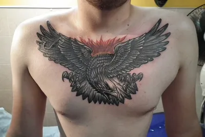 Татуировка на груди у парня - орел — KissMyTattoo.ru
