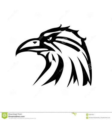 Татуировка орла иллюстрация вектора. иллюстрации насчитывающей  биографической - 53097557