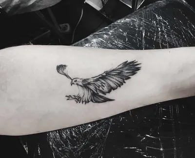 Орёл мини-тату 😈 Настя Злюка | самые чёрные и качественные татуировки |  Татуировки, Тату, Татуировка орла