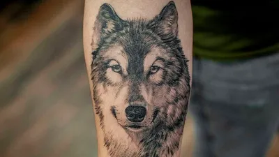 40 Татуировок - Тату Волк на предплечье || Wolf tattoo on forearm - YouTube