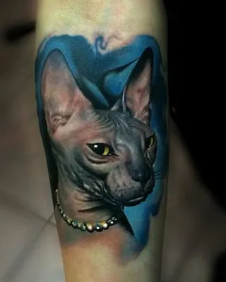 Tattoo • Значение тату: кошка породы Сфинкс
