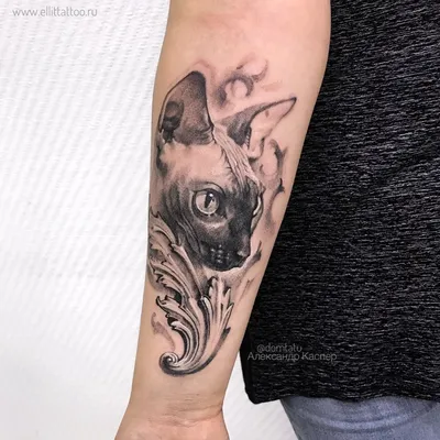 фото женской татуировки на руке в стиле реализм кошка сфинкс и узор барокко  / Тату салон «Дом Элит Тату»