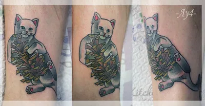Тату кошка или кот в студии Маруха – значение татуировки с кошкой, подойдет  ли вам?