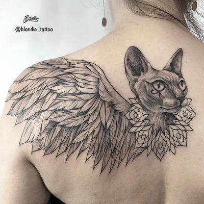 Тату кошка сфинкс с крыльями на спине у девушки - фото татуировок
