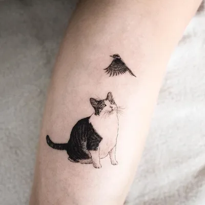 Тату эскизы \"Коты\" - VeAn Tattoo