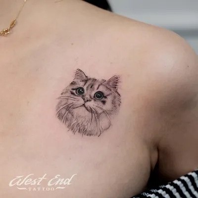 Тату с котами, кошками и котятами: фото, идеи, смысл и значение татуировок  с кошками