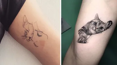 20 настолько креативных татуировок с кошками, что собачники  перевербовываются на лету - Тролльно